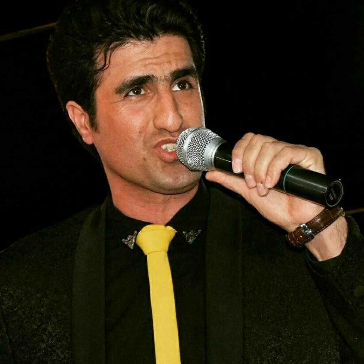آهنگ جدید  محسن لرستانی با صدای باب اسفنجی
